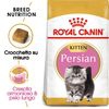 Royal Canin Persian Kitten - Set %: 2 x 4 kg