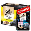 48 x 85 g Sheba + 4 x 12 g Sheba Creamy Snacks gratis! - Variazioni Buste Collezione in gelatina Pesce características