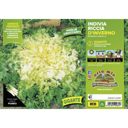 Indivia riccia d′inverno gigante Monaco - 9 piante - Orto Mio precio