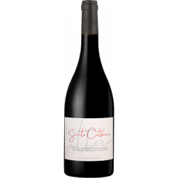 DOMAINE SAINTE CATHERINE 2017 - TERRES PLURIELLES características