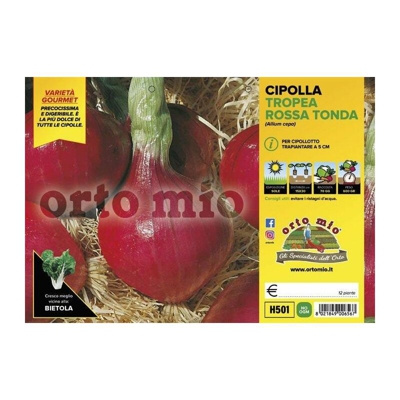Cipolla Tropea Rossa Tonda - 12 piante - Orto Mio