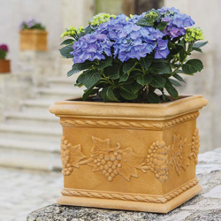 Vaso in polietilene Quadro Uva 35 cm Impruneta - Monacis características