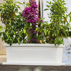 Fioriera in Polimero Monacis Millerighe Bianco cm 80 (80X40X34h) precio