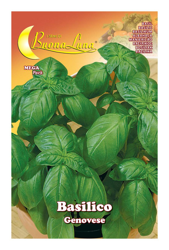 SEMI ORTO BASILICO GENOVESE HORTUS SEMENTI Pz 10,0 características