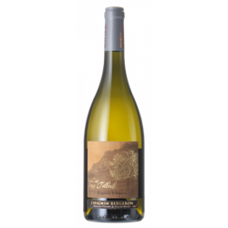 CHIGNIN BERGERON LES DEUX TILLEULS 2019 - DOMAINE PHILIPPE & SYLVAIN RAVIER en oferta