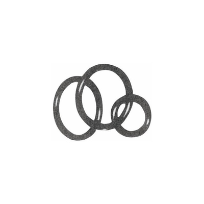 Guarnizione O-Ring Gtc1