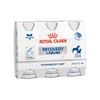 Royal Canin Recovery Veterinary Diet Liquid - Set %: 6 x 200 ml precio