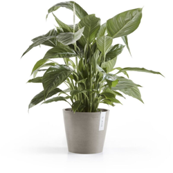 Vaso Tondo AMSTERDAM Ø20 H17 - TAUPE - ECOPOTS en oferta