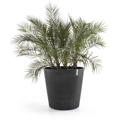 Vaso Tondo AMSTERDAM Ø60 H49 - DARK GREY - ECOPOTS