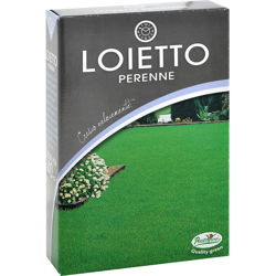 Prato Loietto 1Kg Perenne Hortus Sementi características