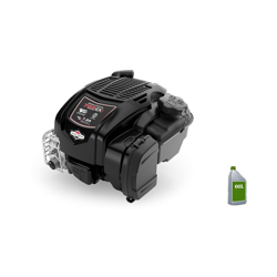 Motore a Benzina Briggs & Stratton 725 Exi-Series 163 cc precio