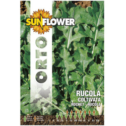 Sementi Rucola Coltivata Foglia Larga Sunflower en oferta