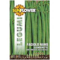 Sementi Fagiolino Nano Slenderette Sunflower características