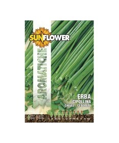 Sementi Erba Cipollina