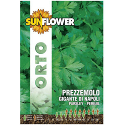 Sementi Prezzemolo Gigante Di Napoli Sunflower características