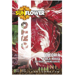 Sementi Cicoria Palla Rossa 3 Sunflower en oferta