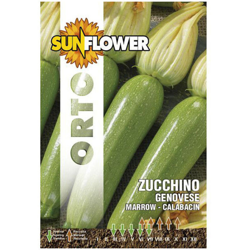 Sementi Zucchino Genovese Sunflower características