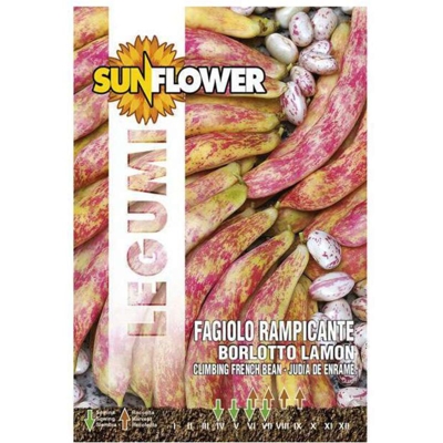 Sementi Fagiolo Borlotto Rampicante Sunflower