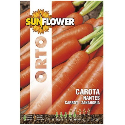 Sementi Carota Nantes 2 Sunflower