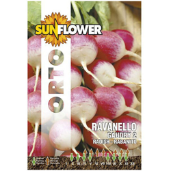 Sementi Ravanello Gaudry 2 Sunflower en oferta