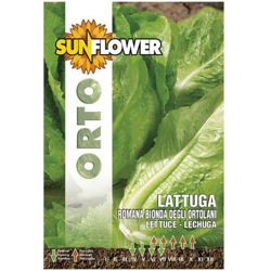 Sementi Lattuga Romana Bionda Sunflower en oferta