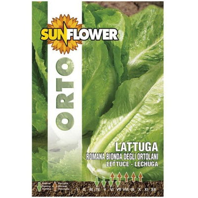 Sementi Lattuga Romana Bionda Sunflower