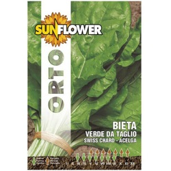 Sementi Bietola Costa Da Taglio Sunflower precio