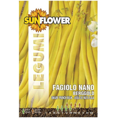 Sementi Fagiolino Nano Berggold Sunflower