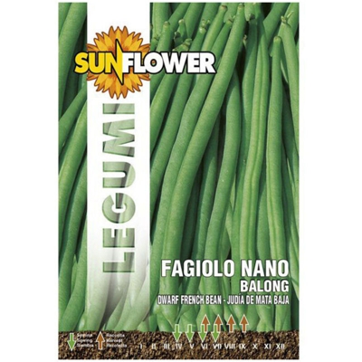 Sementi Fagiolino Nano Balong Sunflower