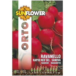 Sementi Ravanello Rapid Red Sunflower precio