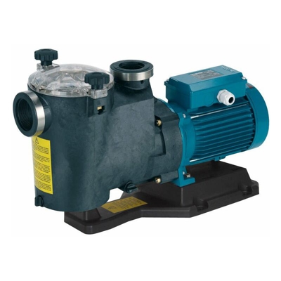 Pompa per piscina Calpeda MPCM 31/A con filtro Monofase 0,75kW per la sabbia per il ricircolo e la filtrazione dell'acqua di alta qualità