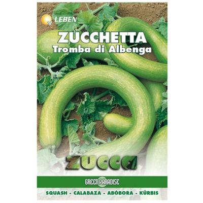 Sementi Zucchetta Tromba D'Albenga Leben