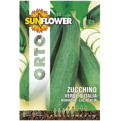 Sementi Zucchino Verde Italia Sunflower en oferta
