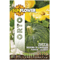 Sementi Zucca Marina Di Chioggia Sunflower características