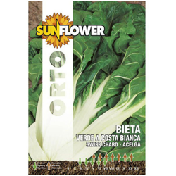 Sementi Bietola Costa Argentata Sunflower precio