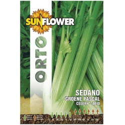 Sementi Sedano Verde Pascal Sunflower precio