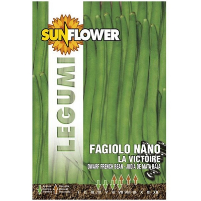 Sementi Fagiolino Nano La Victoire Sunflower
