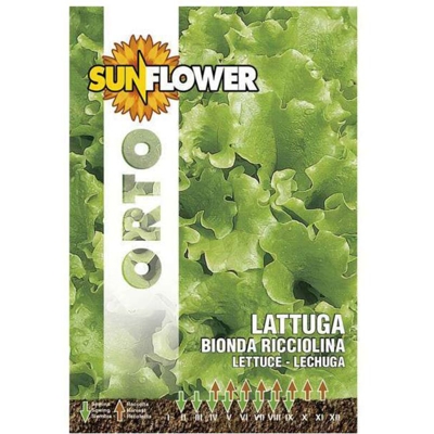 Sementi Lattuga Bionda Ricciolina Sunflower