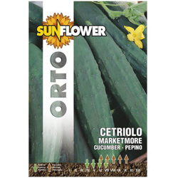 Sementi Cetriolo Marketmore Sunflower características