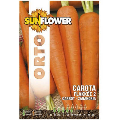 Sementi Carota Flakkee 2 Sunflower