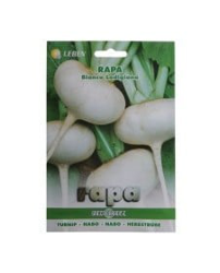 Sementi Rapa Lodigiana Bianca Leben características