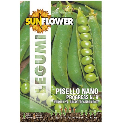 Sementi Pisello Nano Progress 9 Sunflower