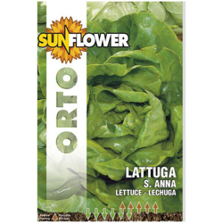 Sementi Lattuga Sant'Anna Sunflower características