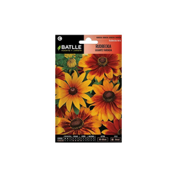 Semi di Fiori â Rudbeckia Gigante assortita â Batlle precio