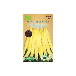 Germisem Biologico Merveille de Venise Semi di Fagiolo Rampicante 80 g características