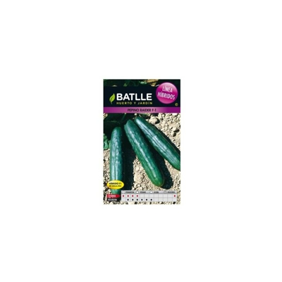 Semi BatlleÂ âÂ Cetriolo