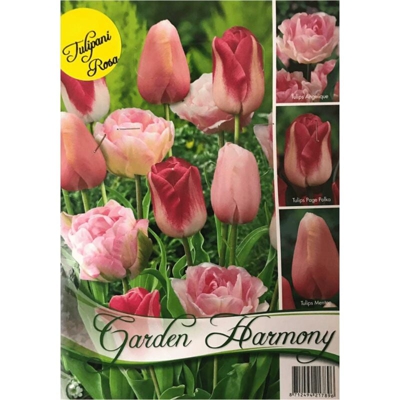 Bulbi Autunnali Collezione 18 Bulbi Di Tulipani Rosa Per Aiuole E Vasi