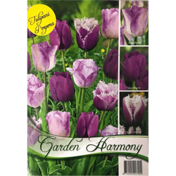 Bulbi Autunnali Collezione 18 Bulbi Di Tulipani Viola Per Aiuole E Vasi características