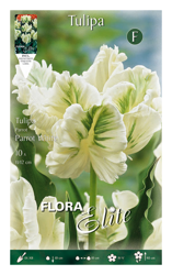 Bulbi Autunnali Tulipano Parrot White Confezione Da 10 Bulbi Bulbs Bulbes en oferta