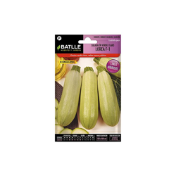 Semi BatlleÂ âÂ Sunny Pumpkins precio